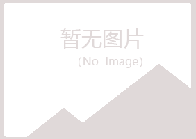 白银平川问安水泥有限公司